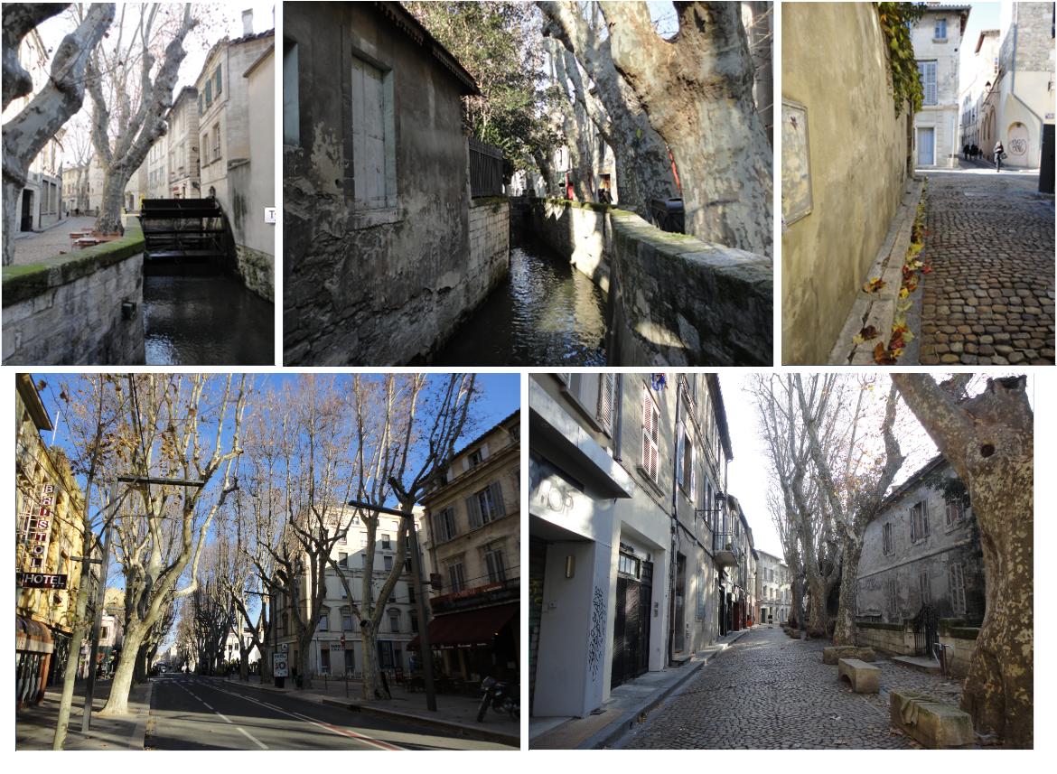 /assets/contentimages/Avignon~2.jpg