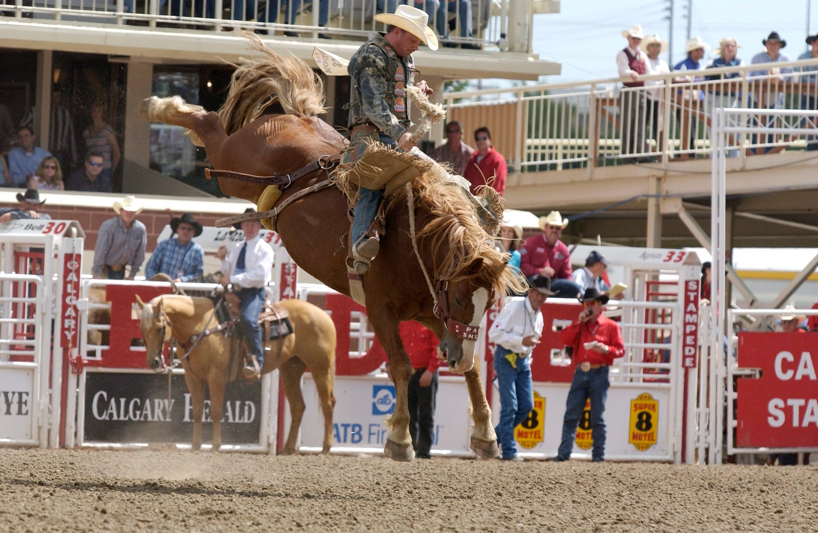 /assets/contentimages/Calgary_Stampede.jpg