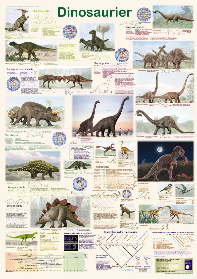 /assets/contentimages/Dinosaurier.jpg