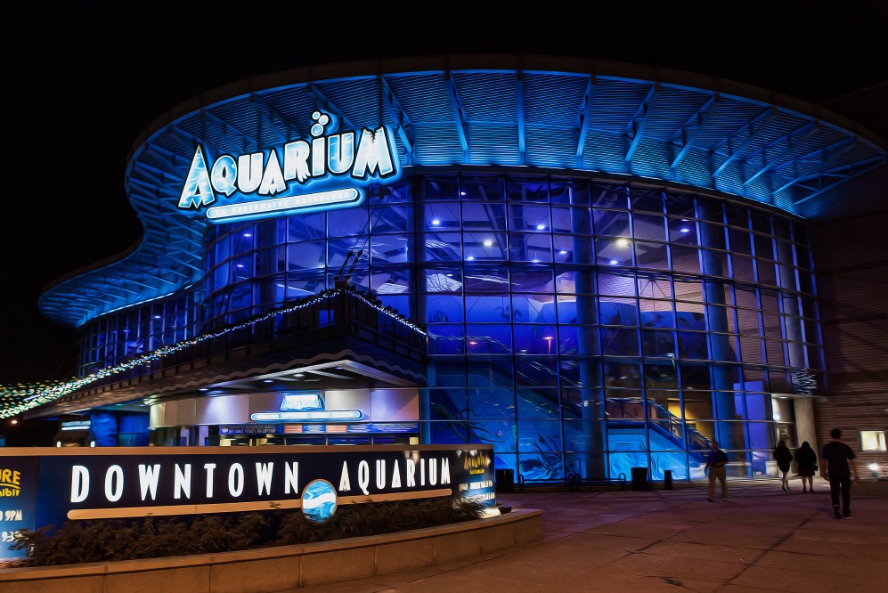 /assets/contentimages/Downtown_Aquarium_denver.jpg