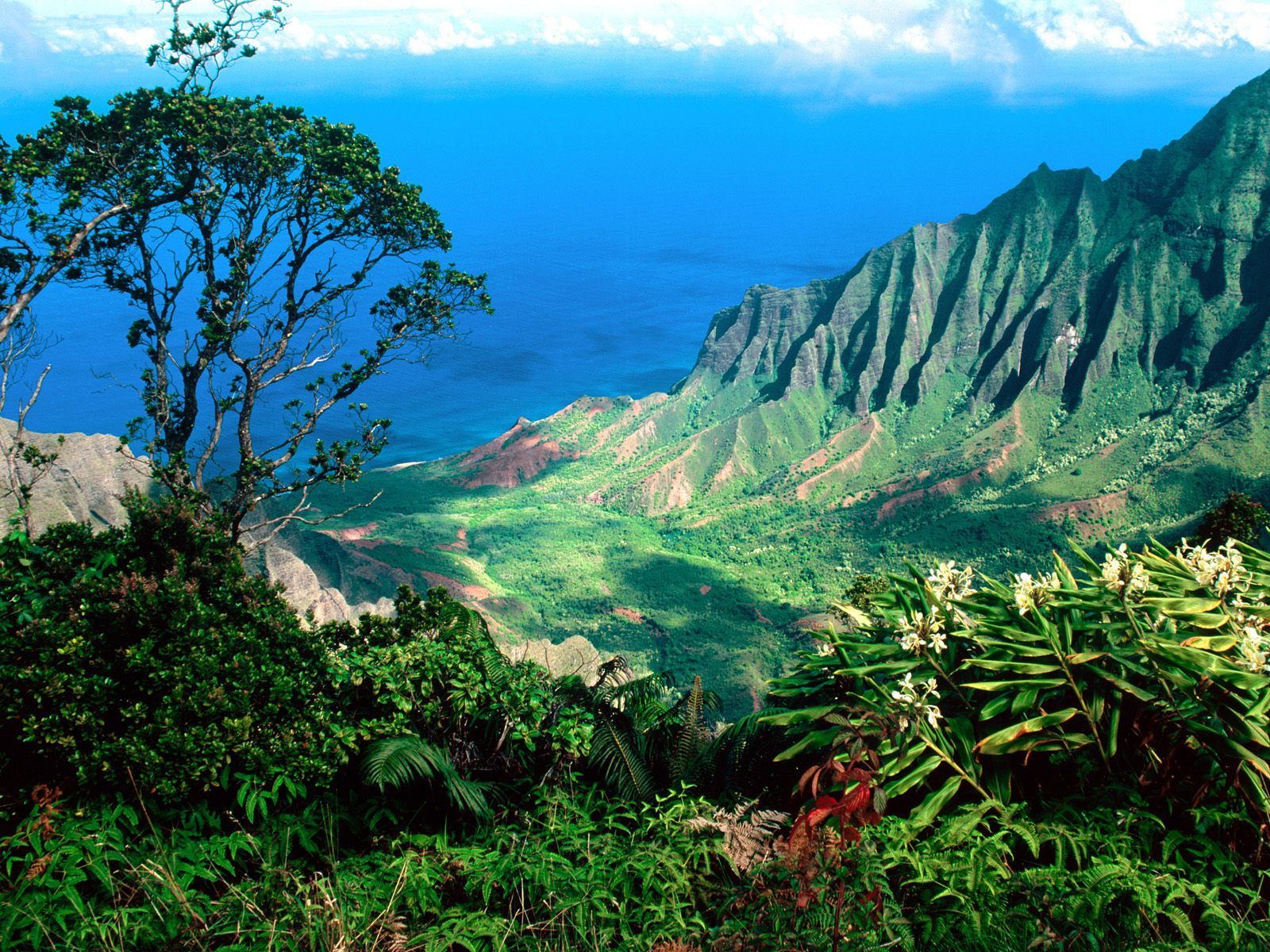 /assets/contentimages/Hawaii_Pacific_Breezes.jpg