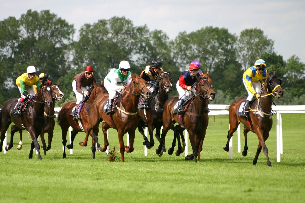/assets/contentimages/Horse-racing.jpg