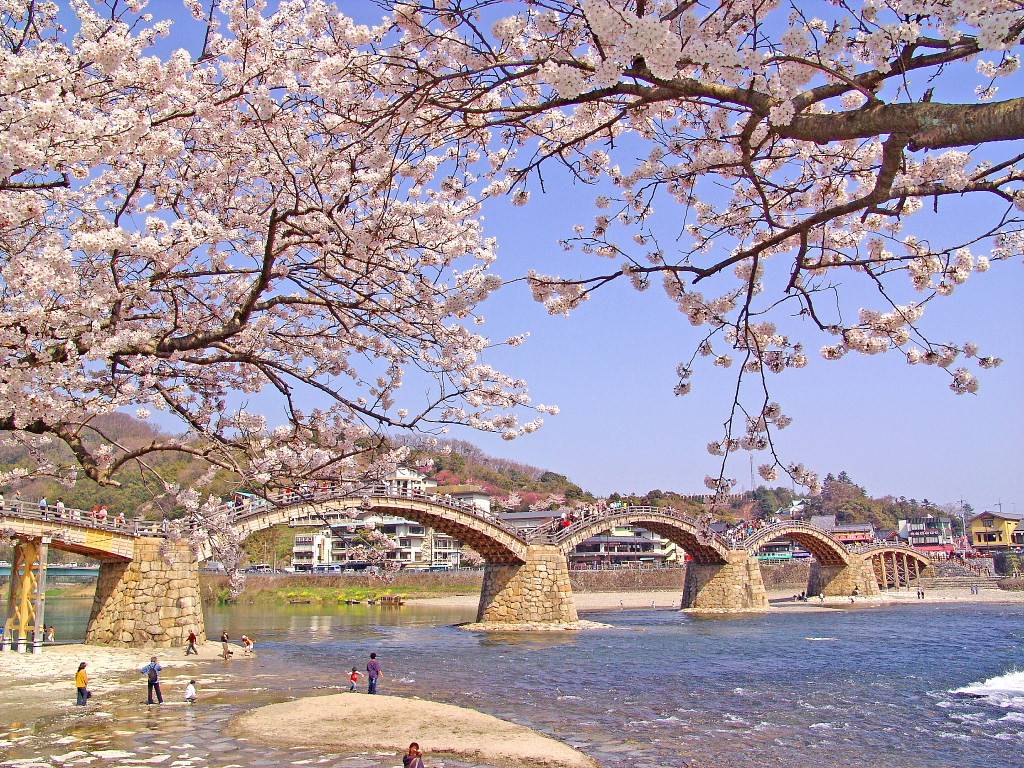 http://www.net4info.de/photos/cpg/albums/userpics/10002/Kintai-Bruecke.jpg