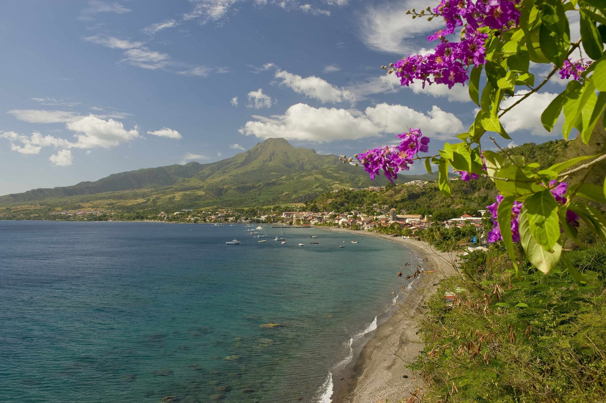 http://www.net4info.de/photos/cpg/albums/userpics/10001/Martinique.jpg