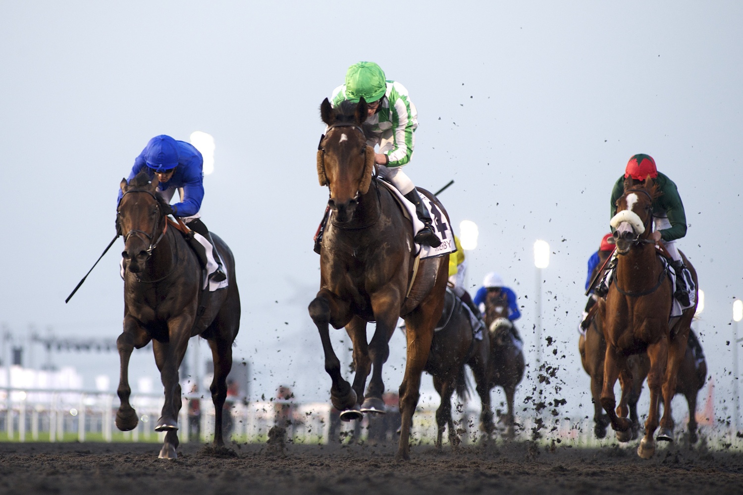 https://www.yizuo-media.com/photos/cpg/albums/userpics/10002/Meydan_Racecourse.jpg