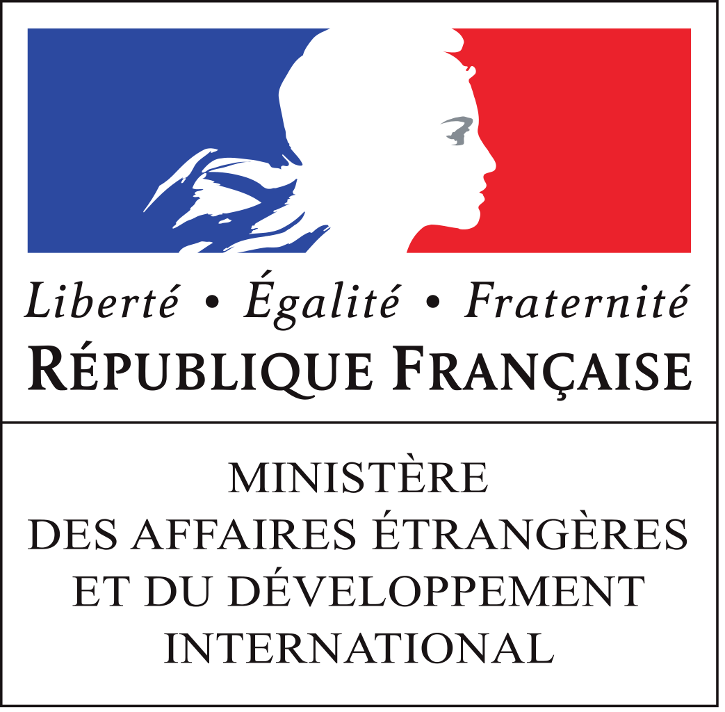 http://www.net4info.de/photos/cpg/albums/userpics/10001/Ministere_des_Affaires_etrangeres_et_du_developpement_international.png