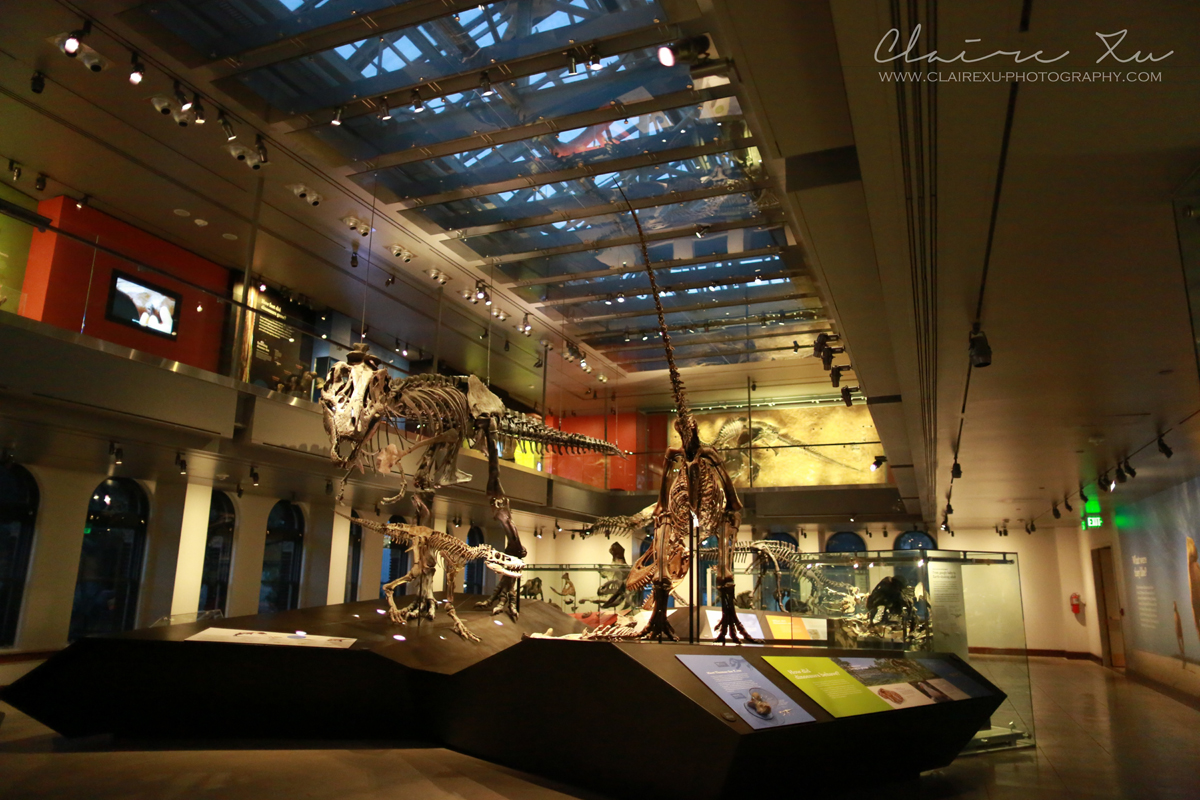 /assets/contentimages/Natural_History_Museum_of_Los_Angeles_County.jpg