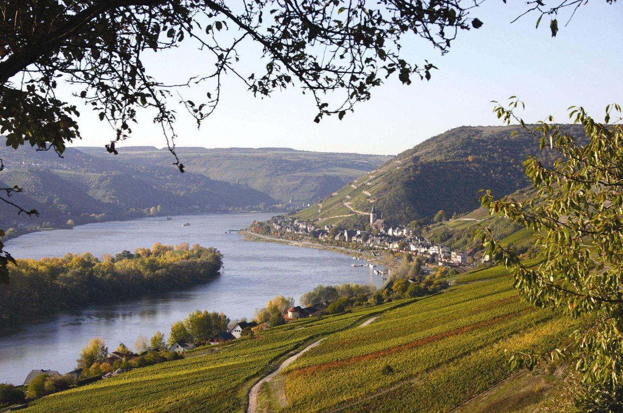 /assets/contentimages/Rheingau-bei-Lorch-am-Rhein%7E0.JPG