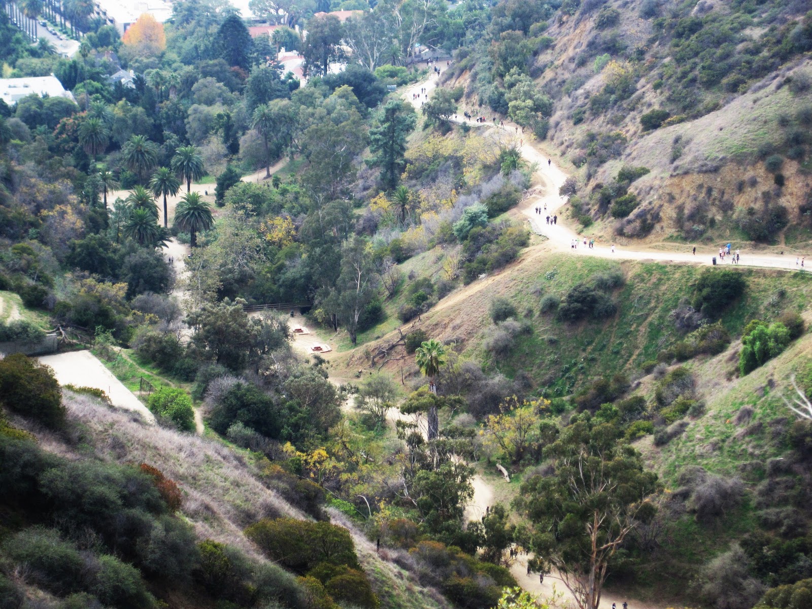 /assets/contentimages/Runyon_Canyon_Park~0.jpg
