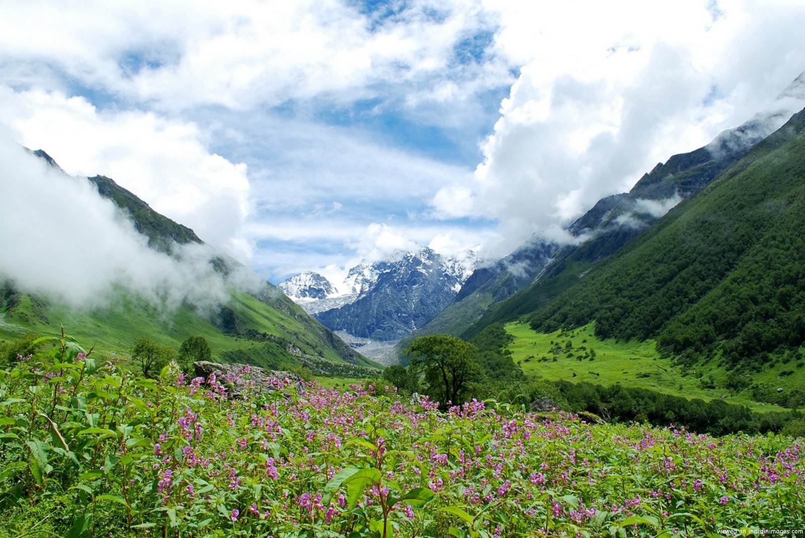 /assets/contentimages/Valley_of_Flowers_National_Park.jpg