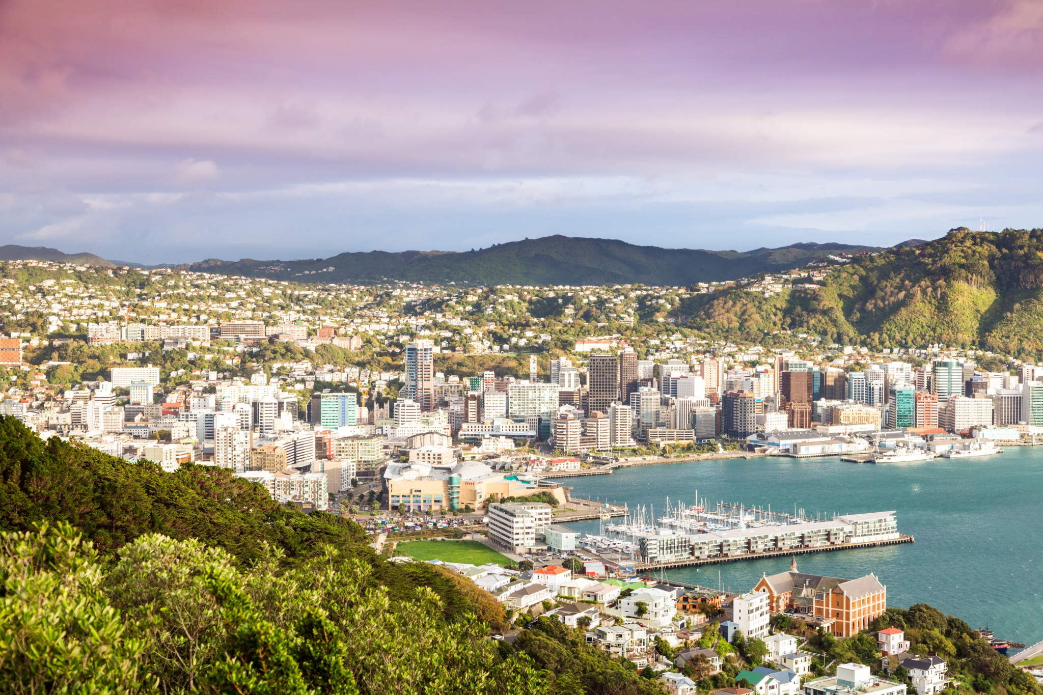 /assets/contentimages/Wellington~4.jpg