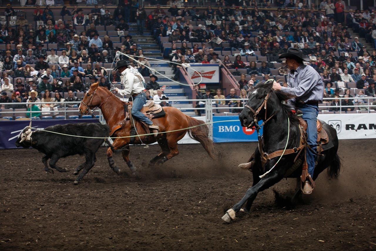 /assets/contentimages/Westernreiten.jpg
