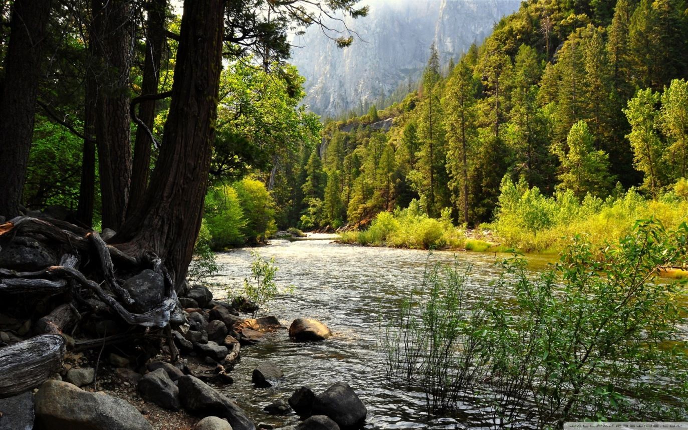 /assets/contentimages/Yosemite-Nationalpark.jpg